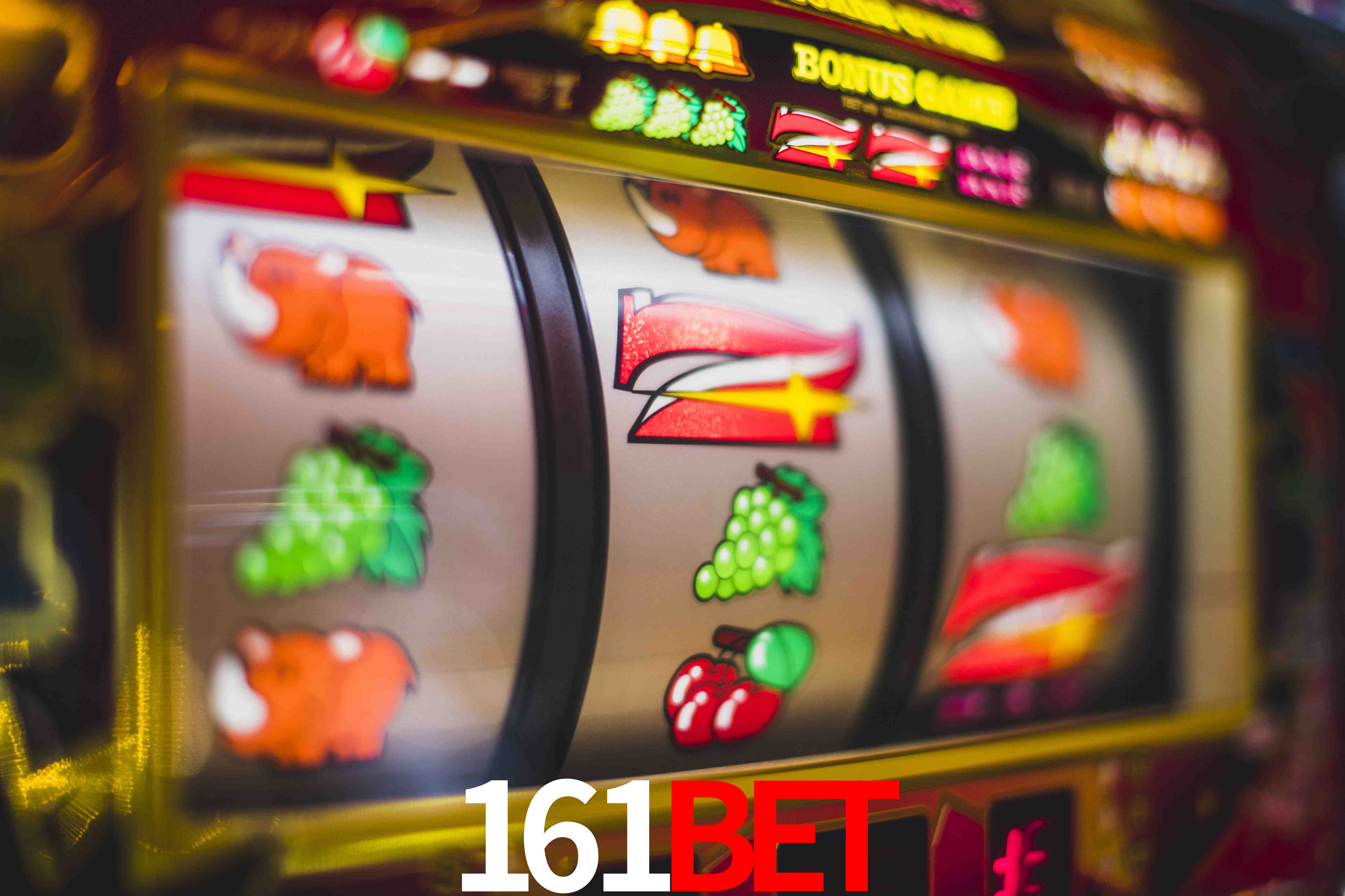 Statistics 161Bet